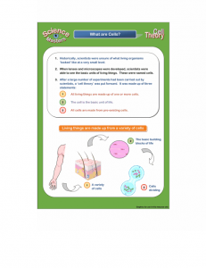 Subjects – ORB Education Australia