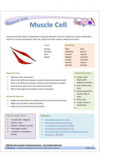 Cells (Yrs 7-8 Science Grab Bags) - Image 4