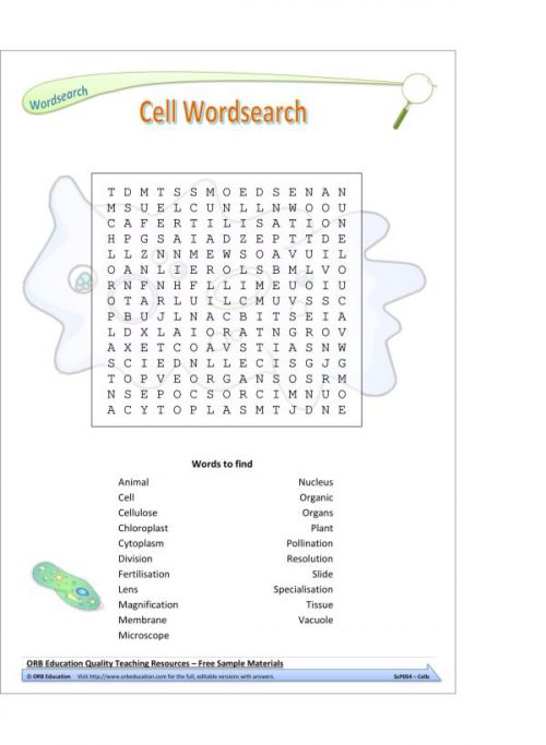 Cells (Yrs 7-8 Science Grab Bags) - Image 5