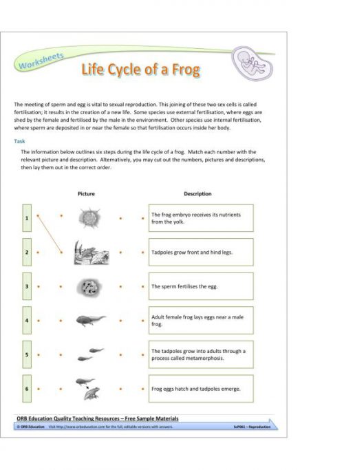 Reproduction (Yrs 7-8 Science Grab Bags)