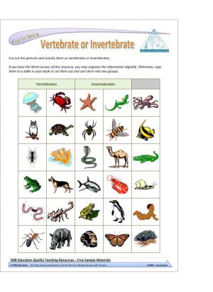 Ecosystems (Yrs 7-8 Science Grab Bags)