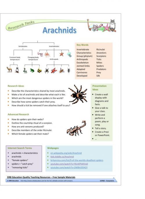 Ecosystems (Yrs 7-8 Science Grab Bags) - Image 2