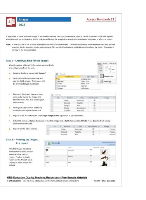 MS Office Standards 2023 - Image 13