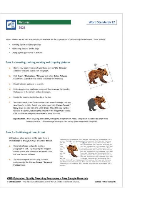 MS Office Standards 2023 - Image 19