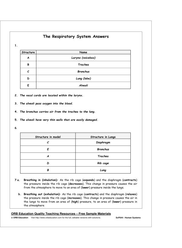 Human Systems - Image 3