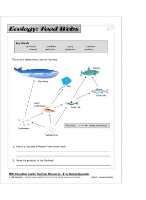 Ecology Activities