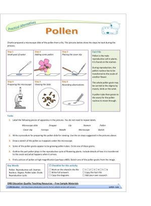 Cells (Yrs 7-8 Science Grab Bags)