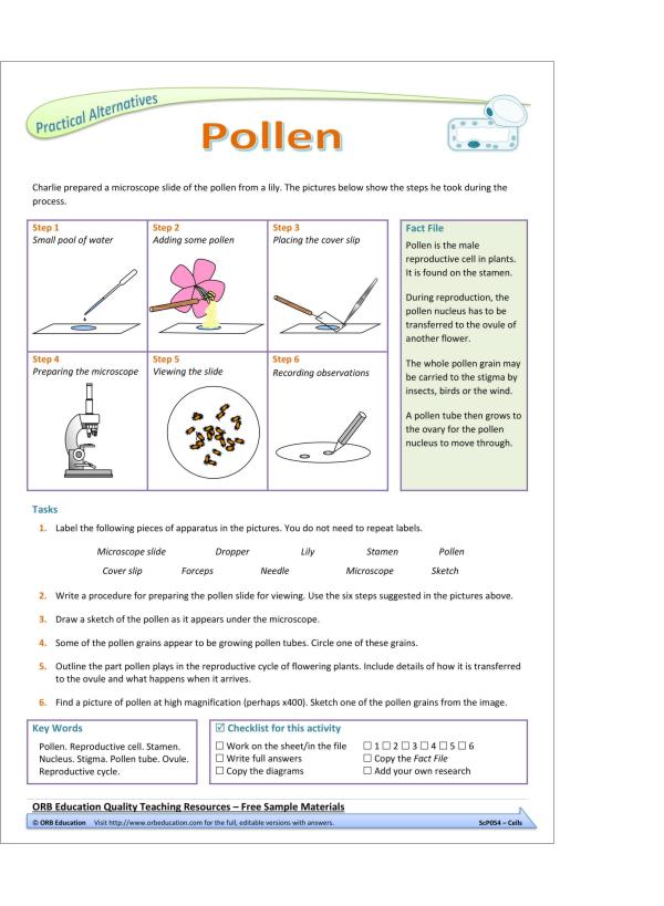 Cells (Yrs 7-8 Science Grab Bags)