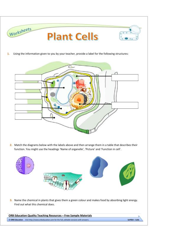 Cells (Yrs 7-8 Science Grab Bags) - Image 2