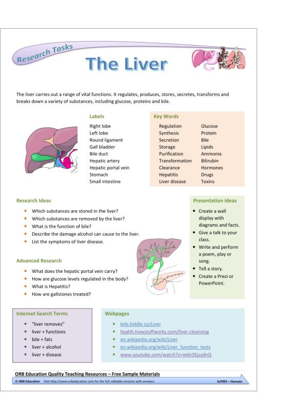 Humans (Yrs 7-8 Science Grab Bags) - Image 2