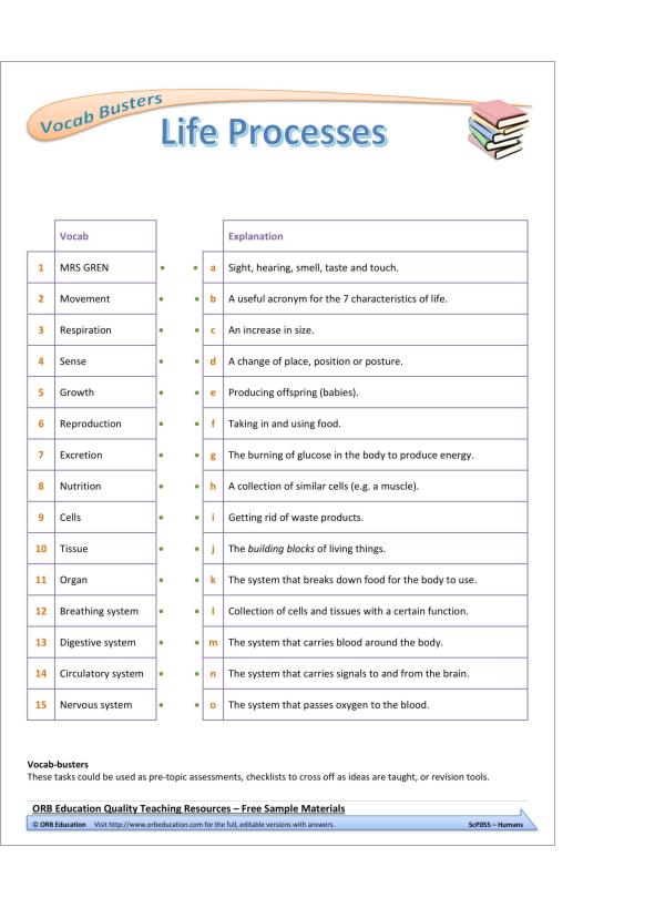 Humans (Yrs 7-8 Science Grab Bags) - Image 5