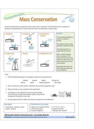 Solutions (Yrs 7-8 Science Grab Bags)