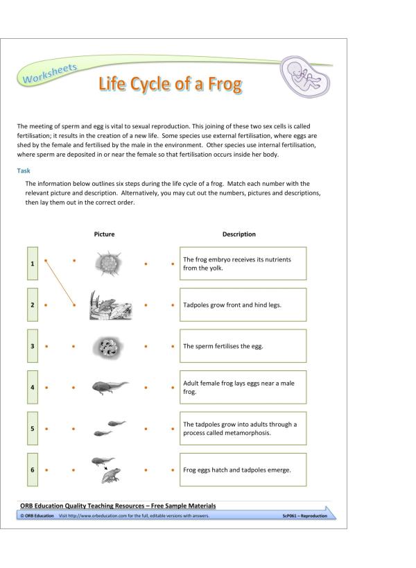 Reproduction (Yrs 7-8 Science Grab Bags)