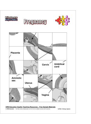 Basic Biology Activities & Jigsaws